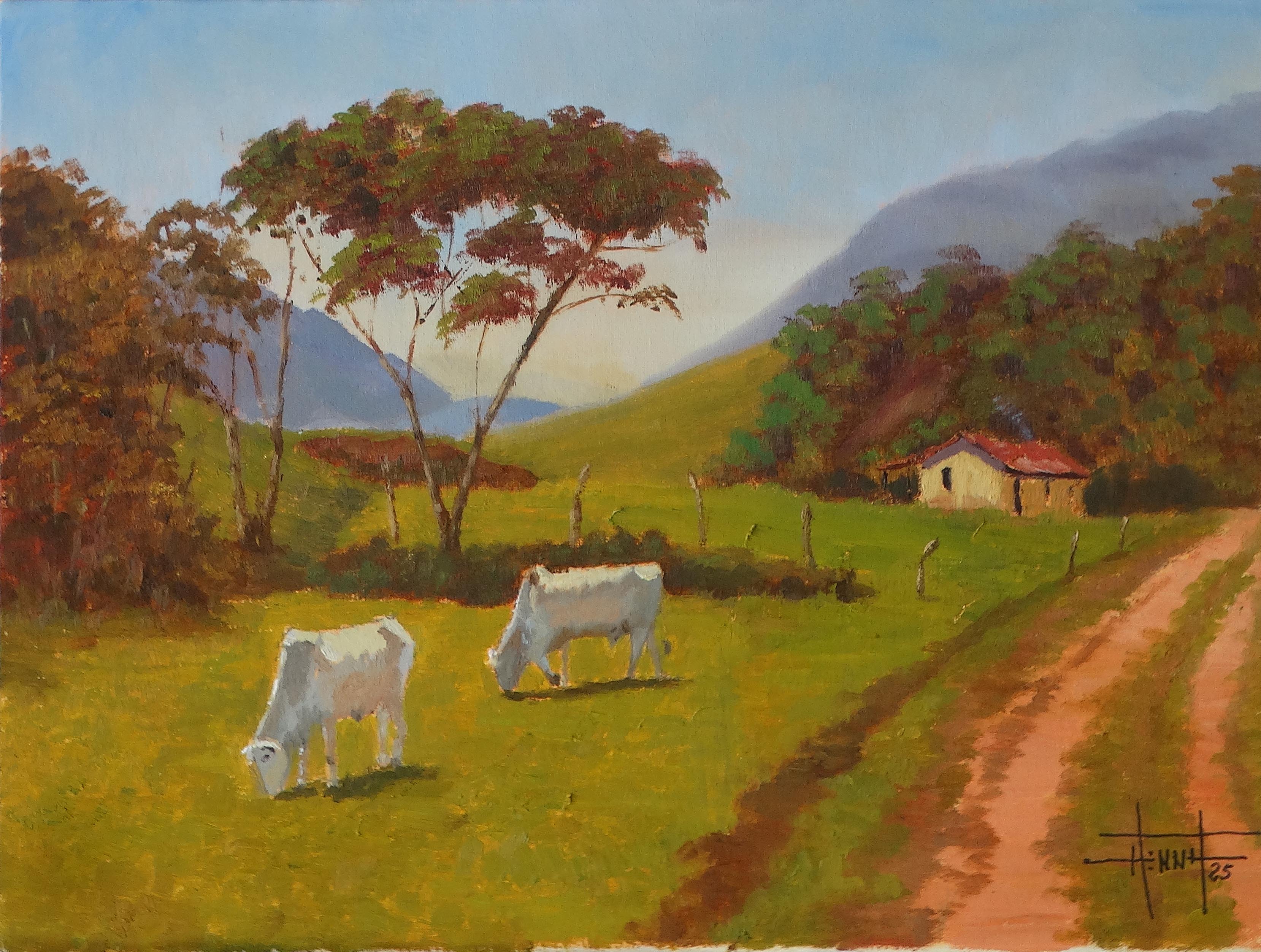Paisagem Rural